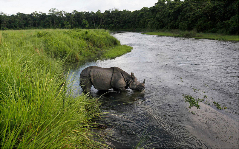 Night 3: Chitwan National Stop Tour