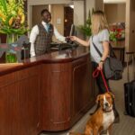 Pet-Friendly Accommodations