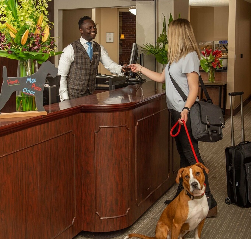 Pet-Friendly Accommodations