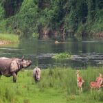 Chitwan Tour