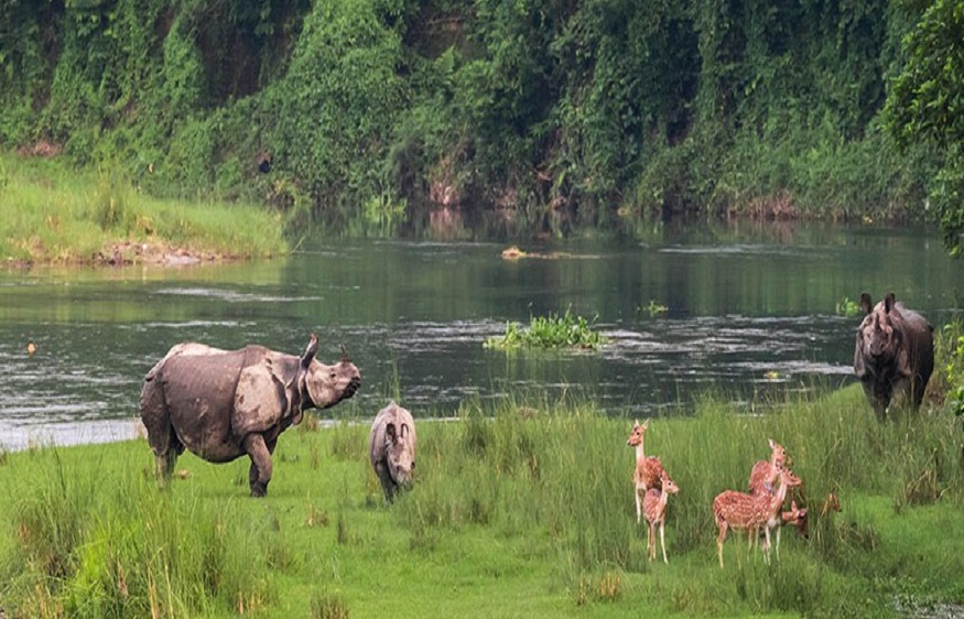 Chitwan Tour